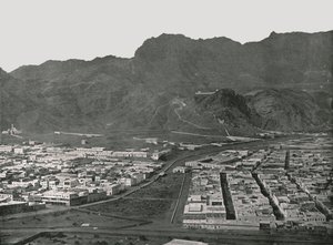 Vue générale montrant le marché aux chameaux, Aden, 1895 - W and S Ltd