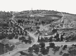 Mont des Oliviers, Jérusalem, Palestine, 1895 - W and S Ltd