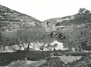La piscine de Siloé, Jérusalem, Palestine, 1895 - W and S Ltd