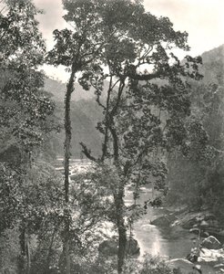 Vue de la rivière Kelani, Kurunegala, Ceylan, 1895 - W and S Ltd