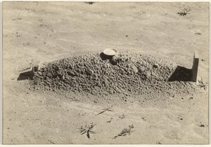 Une tombe baptiste, comté de Hale, Alabama - Walker Evans