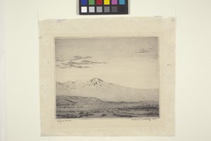 Désert de Mojave - Wallace Leroy DeWolf