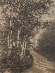 Westmore Drive