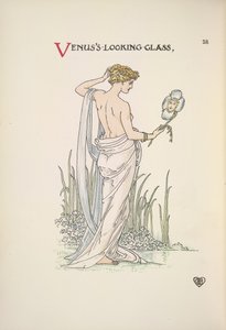 Le miroir de Vénus. Une femme s
