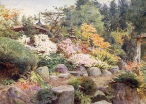 Un jardin de roches à Nikko, cosmos et érable - Walter Frederick Roofe Tyndale