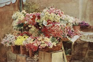 Étal de fleurs, marché de Menton