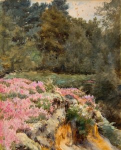 Tête de la carrière de gravier, Royden - Walter Frederick Roofe Tyndale