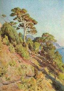Dans la Villa Piuma, Sestri Levante - Walter Frederick Roofe Tyndale