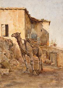 Chameau attaché - Walter Frederick Roofe Tyndale