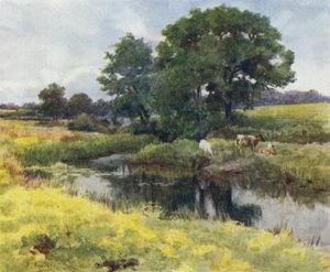 La Nouvelle Forêt : Sur la rivière Lymington - Walter Frederick Roofe Tyndale