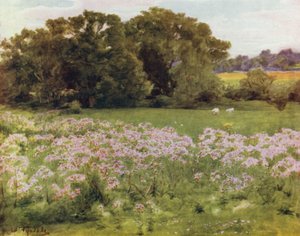 La Nouvelle Forêt : Riversdale, Boldre - Walter Frederick Roofe Tyndale