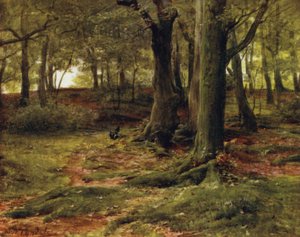 La Nouvelle Forêt : Les Bois de la Colline, Lyndhurst - Walter Frederick Roofe Tyndale