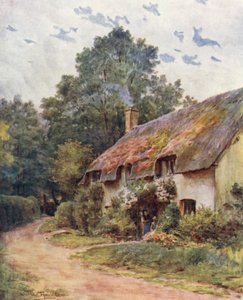 Wessex : Un cottage typique de Wessex