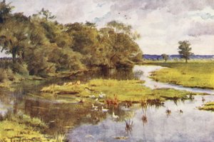 Wessex : La Frome depuis le pont de Bockhampton - Walter Frederick Roofe Tyndale