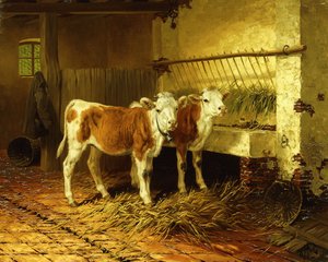 Deux veaux dans une étable