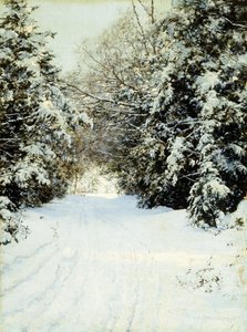 Arbres chargés de neige