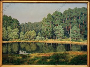 Paysage forestier avec un lac de la Marche