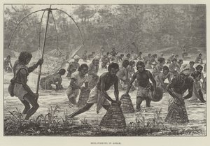Pêche au Beel en Assam - Walter Paget