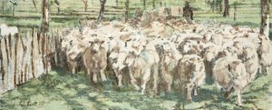 Nous sommes tous comme des moutons