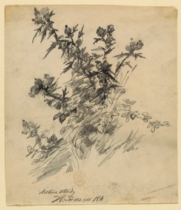 Étude de la nature