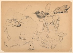 Études de bovins, têtes de moutons et un cochon - Walter Shirlaw