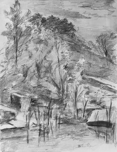 Arbres et ruisseau