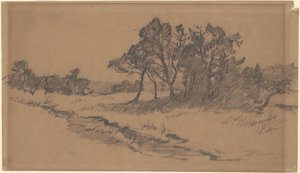 Arbres dans un champ