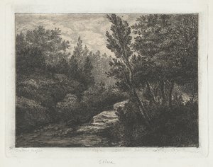 Selva (Bois) - Walter Teodoro Bosio
