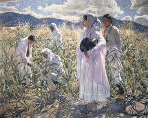 Maïs indien, Taos