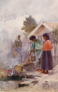 Nouvelle-Zélande : Cuisiner dans une source chaude - Walter Wright