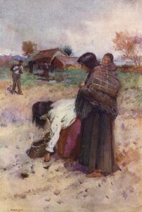 Nouvelle-Zélande : Plantation de pommes de terre - Walter Wright