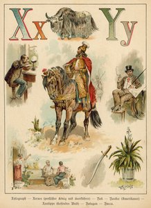 Lettre X et Lettre Y (chromolithographie) - Walter Zweigle
