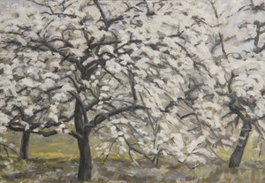 Arbres fruitiers en fleurs - Walther Gamerith