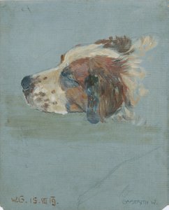 Tête de chien