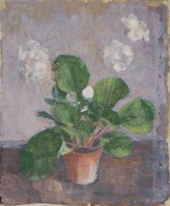 Nature morte avec pot de fleurs