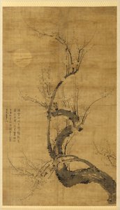 Un prunus au clair de lune - Wang Mian