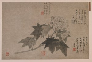 Hibiscus, 1347 - Wang Yuan