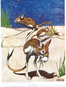Le Gerboise, illustration de 
