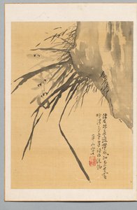 Orchidée, 19ème siècle - Watanabe Kazan