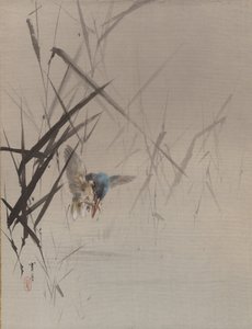 Oiseau attrapant un poisson parmi les roseaux, vers 1887