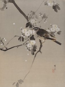 Oiseaux sur une branche fleurie, vers 1887