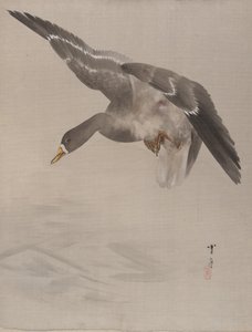 Canard, vers 1887 - Watanabe Seitei