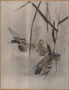 Canards dans les joncs, vers 1887 - Watanabe Seitei