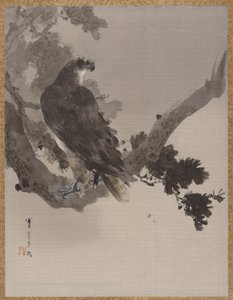 Aigle dans un arbre, vers 1887