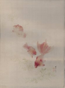 Poissons rouges, vers 1887