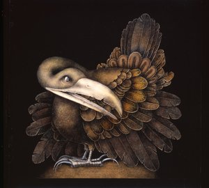 BOMBAX BIRD - Wayne Anderson