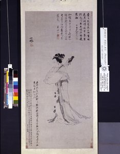 Dame avec un luth - Wei Wu