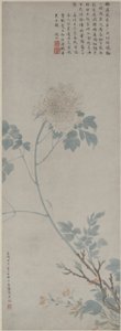 Pivoine - Wen Zhengming