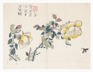 Jardin de graines de moutarde - Wen shu Chao
