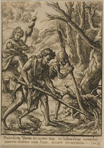 Adam labourant - Wenceslaus Hollar
